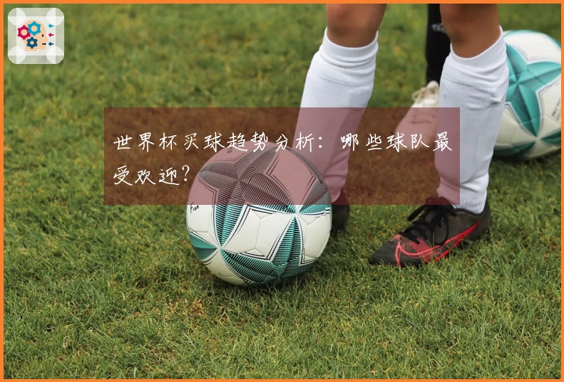 世界杯买球趋势分析：哪些球队最受欢迎？
