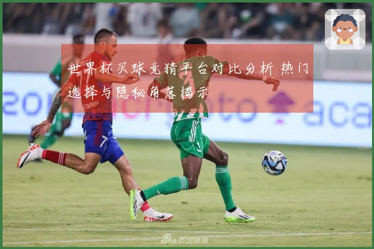 世界杯买球竞猜平台对比分析 热门选择与隐秘角落揭示
