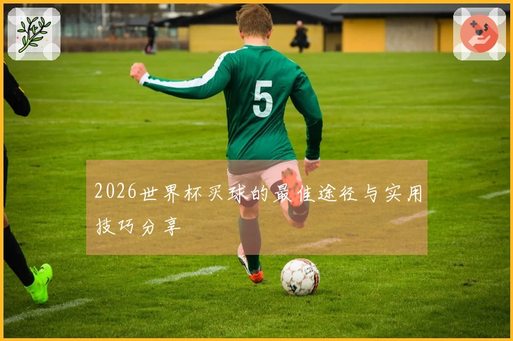 2026世界杯买球的最佳途径与实用技巧分享