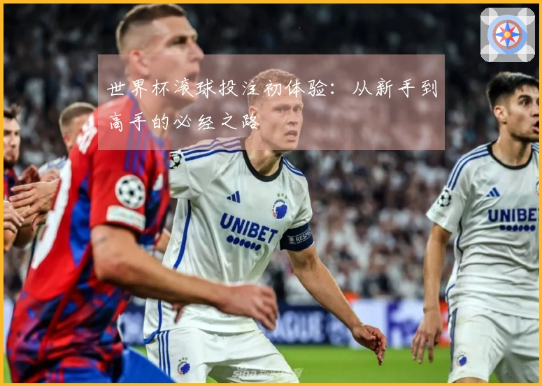 世界杯滚球投注初体验：从新手到高手的必经之路