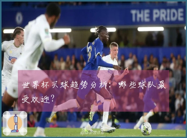 世界杯买球趋势分析：哪些球队最受欢迎？