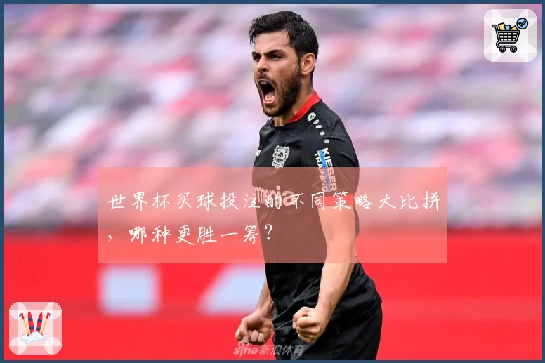 世界杯买球投注的不同策略大比拼，哪种更胜一筹？