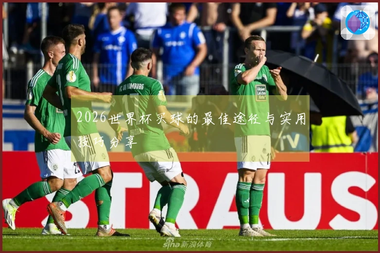 2026世界杯买球的最佳途径与实用技巧分享