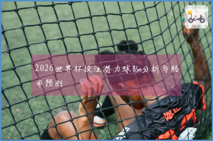2026世界杯投注潜力球队分析与赔率预测